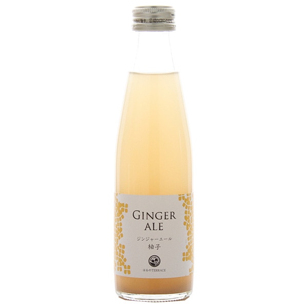 スタジオオカムラ ジンジャーエール柚子 195ml瓶×24本入×(2ケース)