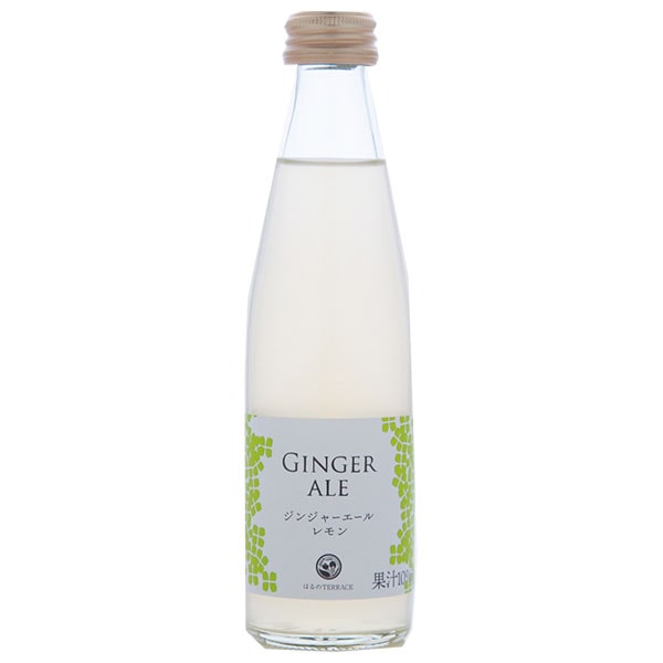 スタジオオカムラ ジンジャーエールレモン 195ml瓶×24本入×(2ケース)