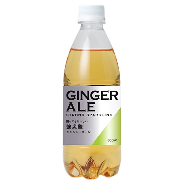 友桝飲料 ジンジャーエール 500mlペットボトル×24本入×(2ケース)
