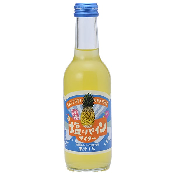 友桝飲料 塩&パインサイダー 245ml瓶×24本入×(2ケース)