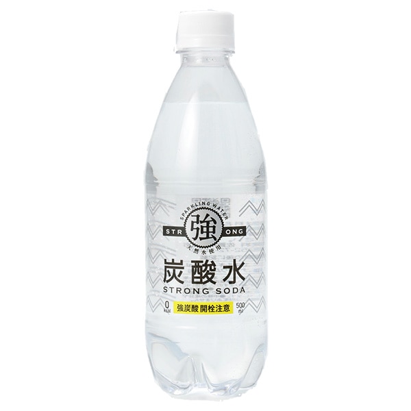 友桝飲料 強炭酸水 500mlペットボトル×24本入×(2ケース)
