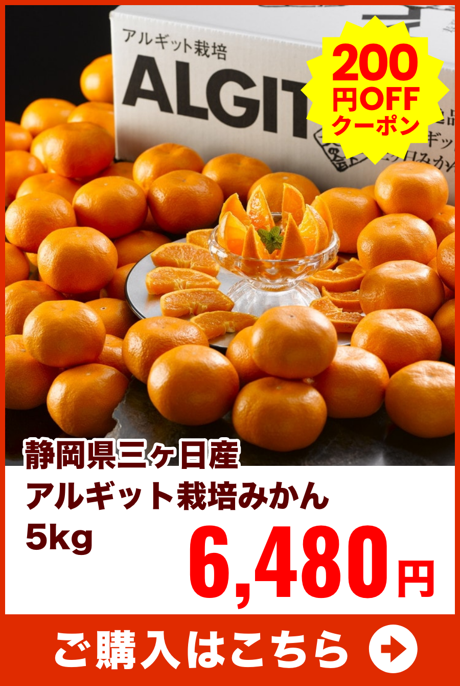 静岡県三ヶ日産　アルギット栽培みかん　5kg