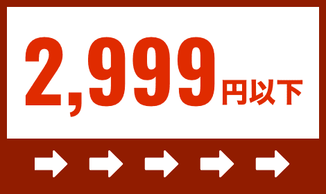 2,999円以下