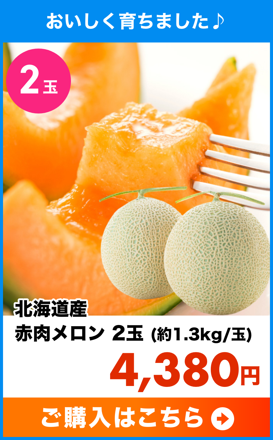 北海道産　赤肉メロン　2玉(約1.3kg/玉)