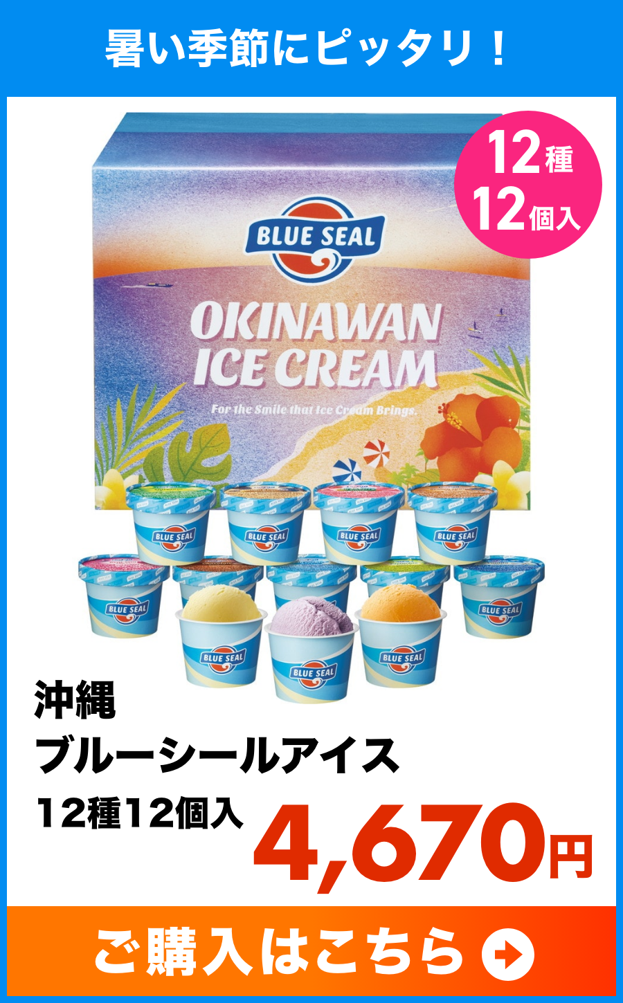 沖縄 ブルーシールアイス　12種12個入