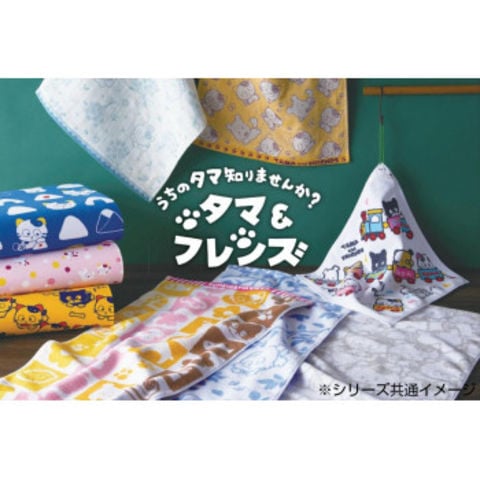 金本徳　うちのタマ知りませんか?　タマ＆フレンズ　日本製　プリント和手拭　綿100％　こんぺいとう　No.24-5002  タオル【同梱不可】[▲][AB]