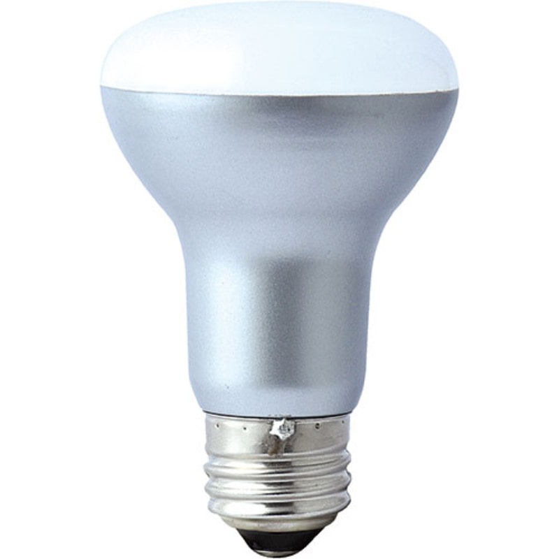 10個セット】 YAZAWA 一般電球形LED 40W相当 昼白色 LDA5NGX10 【同梱 