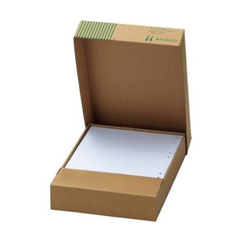 【新品】TANOSEEマルチプリンタ帳票(FSC森林認証紙) A4白紙 2面4穴 1セット(1000枚:500枚×2箱)