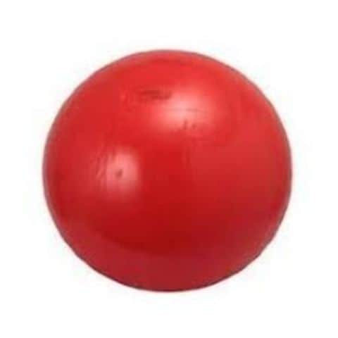 ギムニク トレーニング カラーボール 120cm レッド 【同梱不可】【代引不可】[▲][TP]