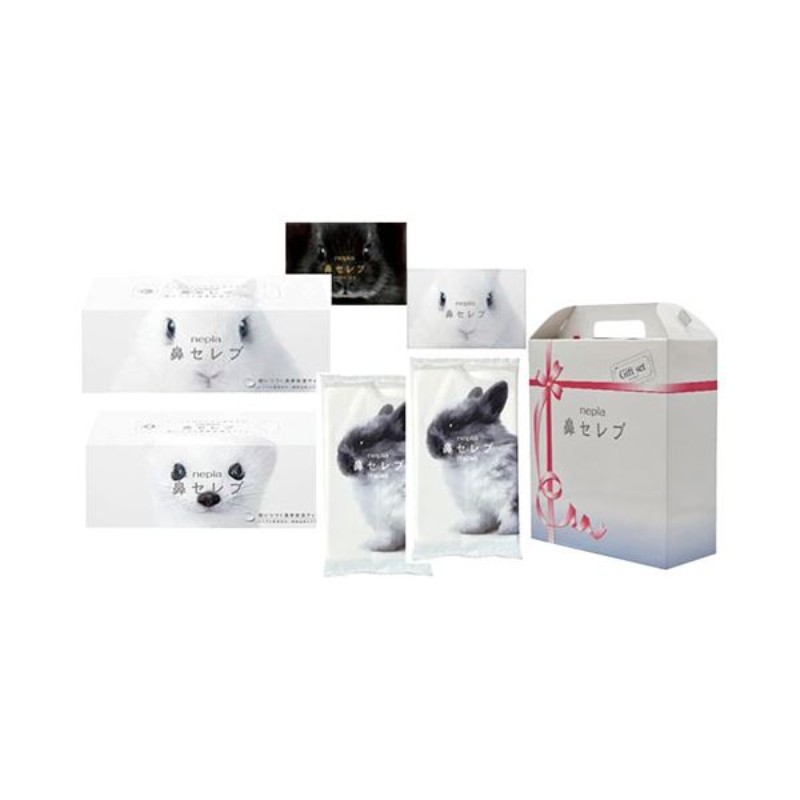 王子ネピア ネピア鼻セレブ ITSUMOPLUS 48組/個 1セット（100個：10個×10パック） ポイント20倍王子ネピア ネピア鼻セレブ ITSUMOPLUS 48組⁄個 1セット