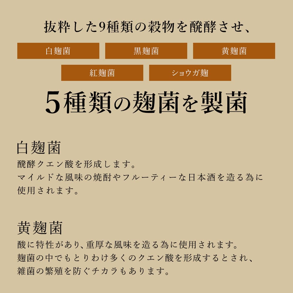 麹のチカラ 約6ヶ月分【送料無料】