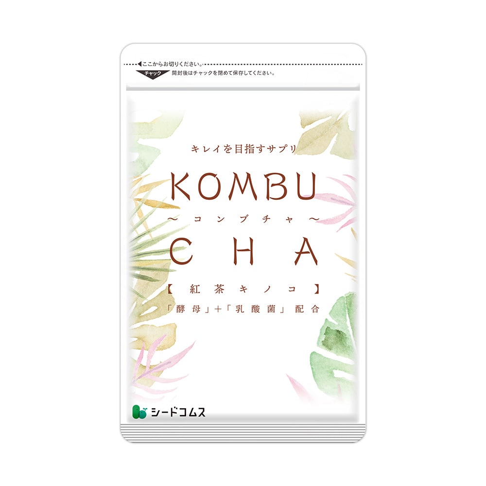 コンブチャ 約3ヶ月分【送料無料】