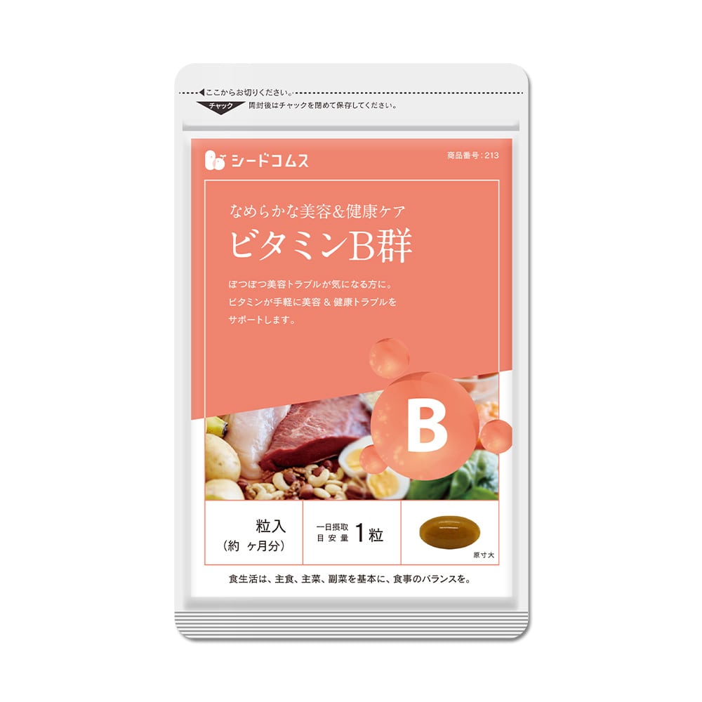 ビタミンB群 約3ヶ月分【送料無料】