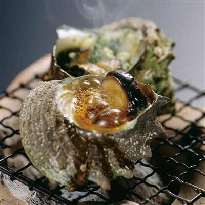 日本の極み 三重県 伊勢志摩産 活さざえ 800g