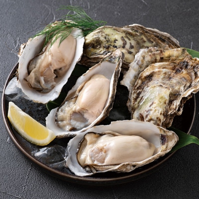 日本の極み 厚岸産殻付き牡蠣 マルえもん 2Lサイズ15個