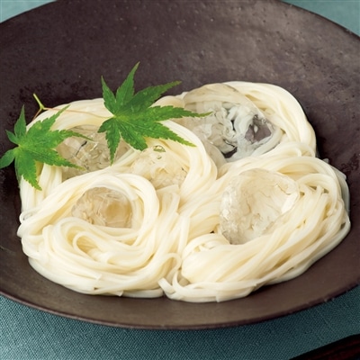 日本の極み 延寿庵 稲庭手延うどん 16束