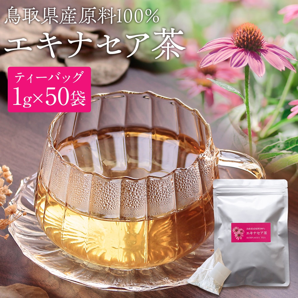 エキナセア茶 50袋入 鳥取県産原料100% エキナセア(プルプレア種)使用 農薬不使用 ティーバッグ 国産 無添加 健康茶 ハーブティー 送料無料 ネコポス(他商品との同梱不可)