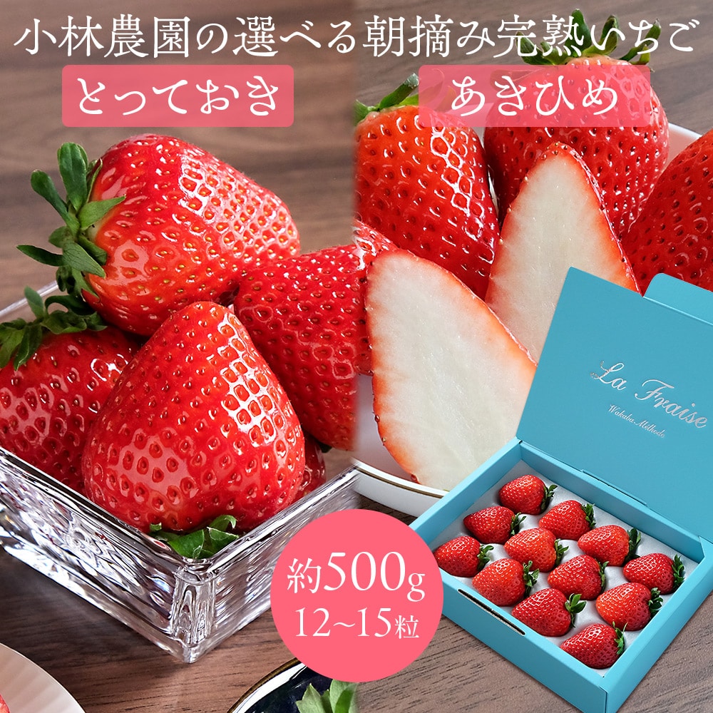 小林農園の選べる朝摘み完熟いちご 約500g(12~15粒) 鳥取県オリジナル新品種「とっておき」/「章姫(あきひめ)」 大粒 化学肥料不使用 減農薬 イチゴ 苺 高級 ギフト プレゼント 送料無料(北海道・沖縄を除く)