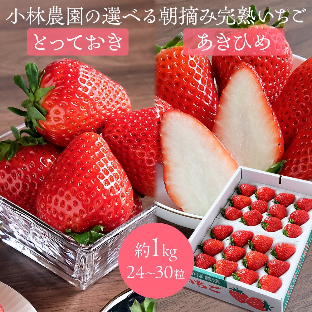 小林農園の選べる朝摘み完熟いちご 約1kg(24~30粒) 鳥取県オリジナル新品種「とっておき」/「章姫(あきひめ)」 大粒 化学肥料不使用 減農薬 イチゴ 苺 高級 ギフト プレゼント 送料無料(北海道・沖縄を除く)