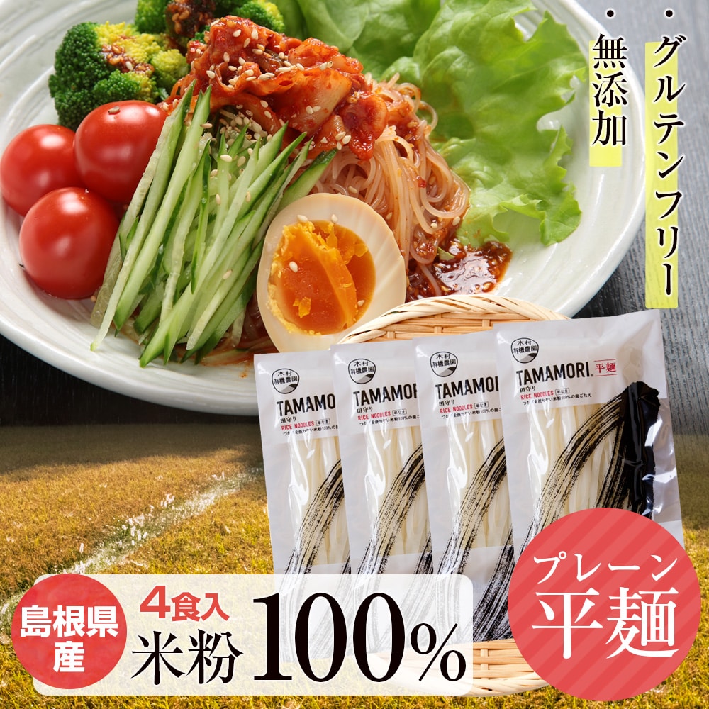 10割米粉麺「TAMAMORI」平麺 4食入 小麦粉不使用 グルテンフリー 無添加 添加物不使用 国産 米粉 麺 パスタ ライスヌードル フォー 送料無料 ネコポス(他商品との同梱不可)