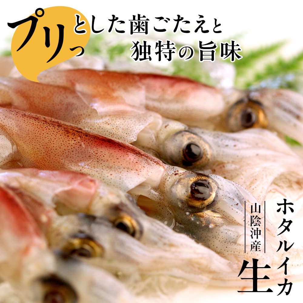 ホタルイカ 冷凍 生 生食 刺身 1.5kg(150g×10パック) 小分け 日本海産 ほたるいか 送料無料(北海道・沖縄を除く)