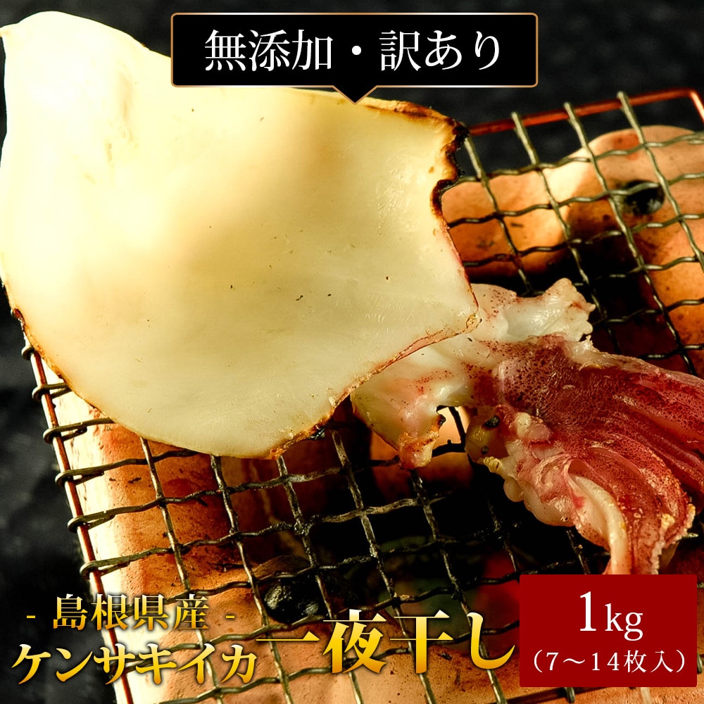 剣先イカ 一夜干し1kg（7～14枚入） 訳あり 島根県産 ケンサキイカ 白イカ 干物 国産 無添加 冷凍 おつまみ 送料無料（北海道・沖縄を除く）