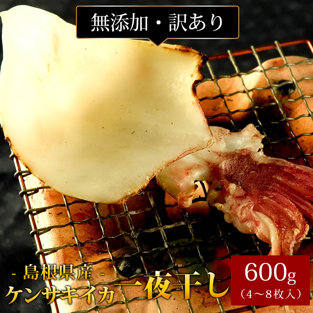 剣先イカ 一夜干し600g(4~8枚入) 訳あり 島根県産 ケンサキイカ 白イカ 干物 国産 無添加 冷凍 おつまみ 送料無料(北海道・沖縄を除く)