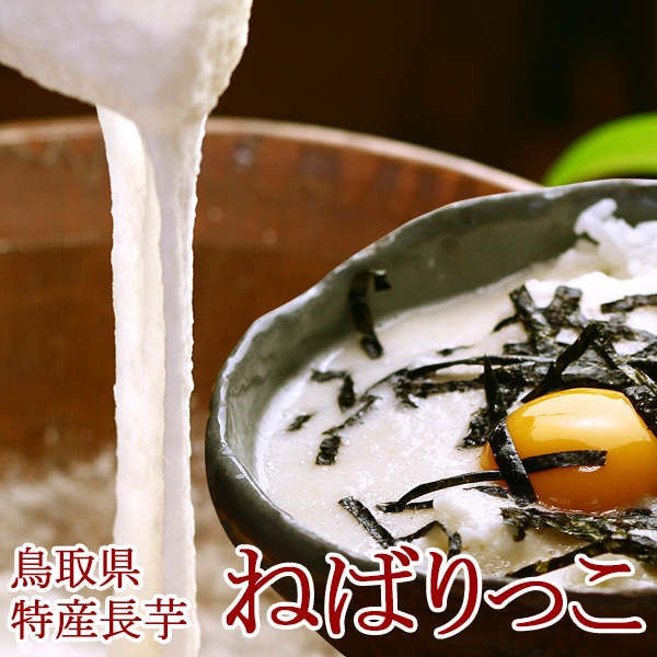 鳥取県北栄町特産 砂丘長いも「ねばりっこ」約2kg(2~3本入) ご贈答用 送料無料(北海道・沖縄を除く)