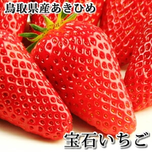 「宝石いちご」（章姫/あきひめ）500g（大サイズ15粒入） 鳥取県境港産 送料無料（北海道・沖縄を除く）