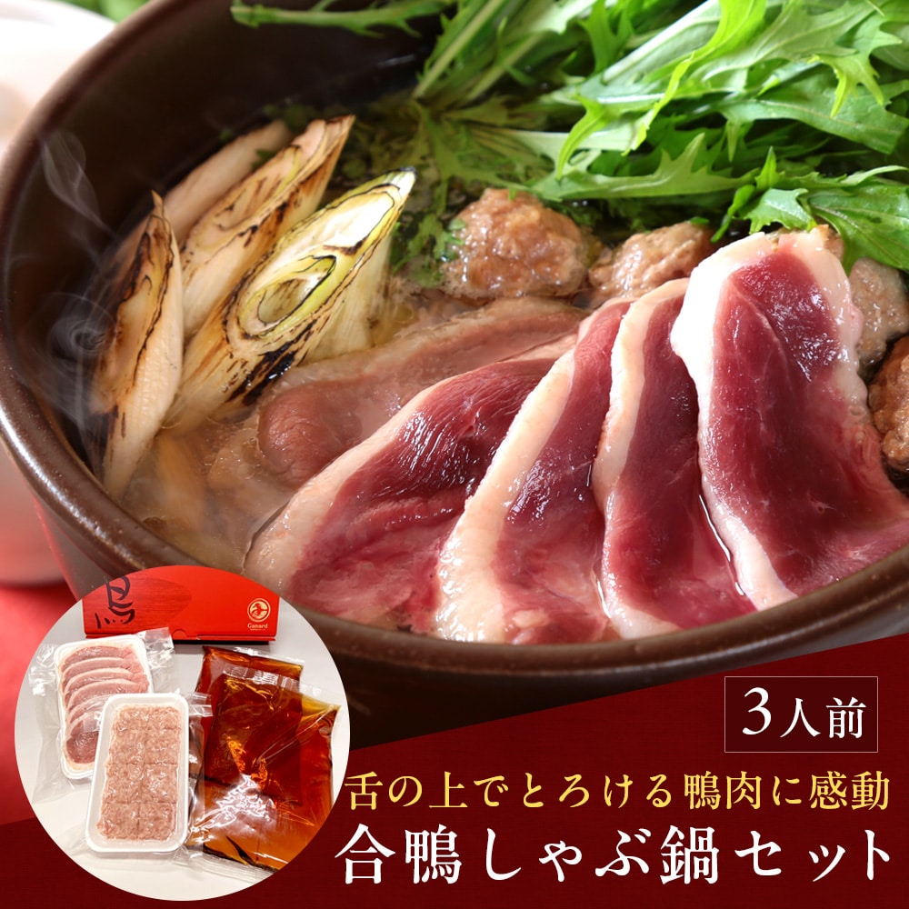 合鴨しゃぶ鍋セット3人前(鴨つみれ付き) 鴨鍋 鴨鍋セット 鴨肉 送料無料(北海道・沖縄を除く)