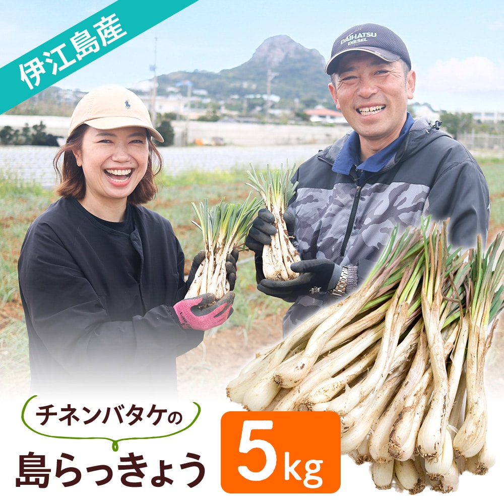 沖縄県伊江島産 チネンバタケの島らっきょう5kg 生(土付き) 島尻マージ 伊江村農家組合 畑(パル)シンカ お取り寄せ 送料無料