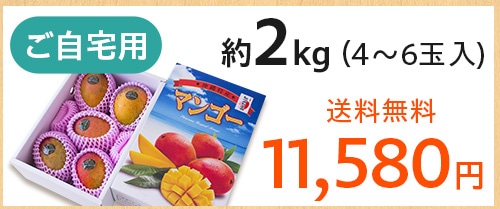 田場農園の自然農法「完熟マンゴー」2kg（4～6玉入） 沖縄県産 ご自宅