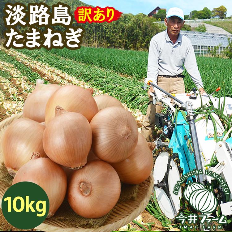 玉ねぎ たまねぎ 淡路島 10kg 訳あり 玉ねぎ 玉葱 今井ファーム #淡路玉ねぎ【訳あり】10K#
