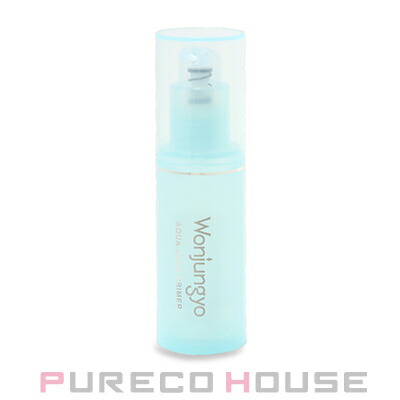 Wonjungyo (ウォンジョンヨ) アクアグルー プライマー 30g