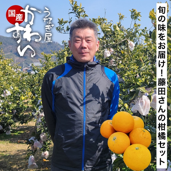 藤田さん 柑橘 詰め合わせ セット みかん 訳あり 5キロ [品種・サイズ混合] 柑橘 不知火 八朔 清見 ブラッドオレンジ 伊予柑 甘夏 有田みかん 和歌山 ミカン 蜜柑 みかん 有田市認定みかん農家 柑橘 福袋 【3月上旬以降発送】