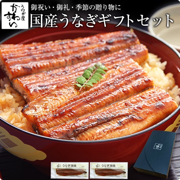 うなぎ 国産 鰻 蒲焼き 国産うなぎ 特大サイズ 170g×2本 ギフトボックス付き ウナギ 鰻 贈答 プレゼント 母の日 父の日 結婚 出産 お見舞 御歳暮 ギフト お祝い 記念日 贈り物