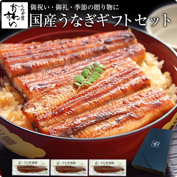 うなぎ 国産 鰻 蒲焼き 国産うなぎ 特大サイズ 170g×3本 ギフトボックス付き ウナギ 鰻 贈答 プレゼント 御歳暮 母の日 父の日 結婚 出産 お見舞 ギフト お祝い 記念日 贈り物