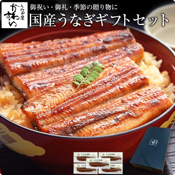 うなぎ 国産 鰻 蒲焼き 国産うなぎ 特大サイズ 170g×5本 ギフトボックス付き ウナギ 鰻 贈答 プレゼント 母の日 父の日 結婚 出産 お見舞 御歳暮 ギフト お祝い 記念日 贈り物
