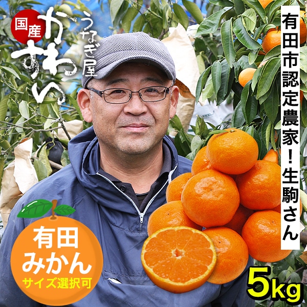 【12月下旬以降発送】生駒さんのみかん 温州みかん Lサイズ5キロ 擦れ・形不揃い 訳あり 温州 有田みかん 和歌山 みかん ミカン 果物 フルーツ