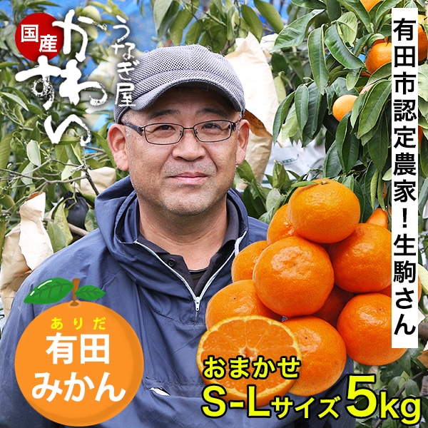【12月中旬以降発送】生駒さんのみかん 温州みかん サイズおまかせ S-L 5キロ 擦れ・形不揃い 訳あり 温州 有田みかん 和歌山 みかん ミカン 果物 フルーツ