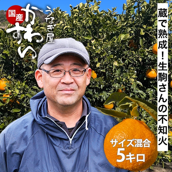 【3月上旬以降発送】生駒さんの不知火  訳あり 5キロ [サイズ混合 M～3L] 柑橘 しらぬい デコポンと同品種  和歌山 蜜柑 有田市認定みかん農家 和歌山 訳あり ギフト 贈答 プレゼント 高級 わけあり 柑橘 フルーツ 家庭用