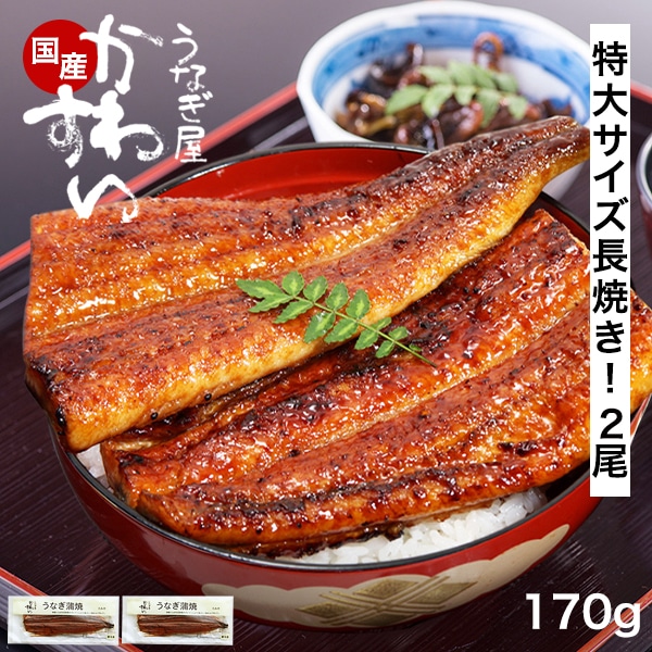 うなぎ 国産 鰻 蒲焼き 国産うなぎ 特大サイズ 170g×2本 ウナギ 鰻 お取り寄せ グルメ 冷凍 保存食 母の日 父の日 ギフト 誕生日 プレゼント 記念日 贈り物