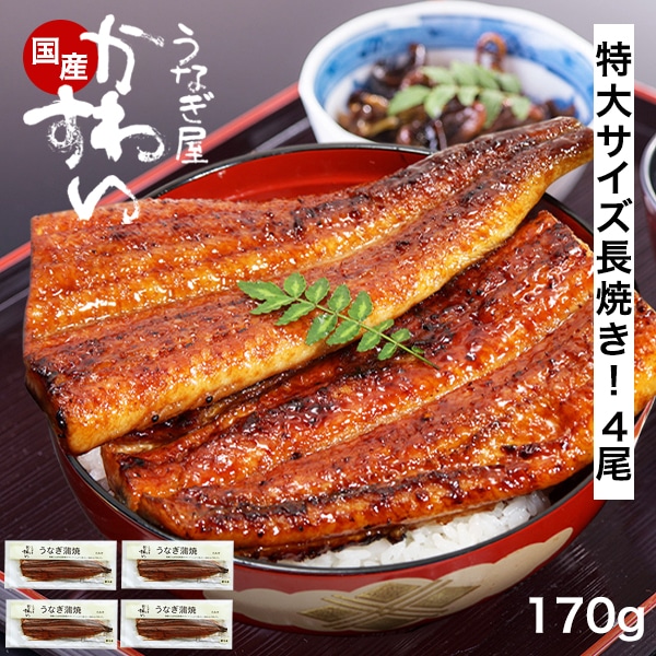 うなぎ 国産 鰻 蒲焼き 国産うなぎ 特大サイズ 170g×4本 ウナギ 鰻 お取り寄せ グルメ 冷凍 保存食 ギフト 誕生日 母の日 父の日 プレゼント 記念日 贈り物