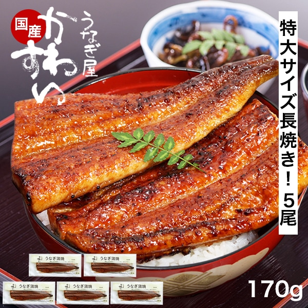 うなぎ 国産 鰻 蒲焼き 国産うなぎ 特大 サイズ170g×5本 ウナギ 鰻 お取り寄せ グルメ 冷凍 保存食 ギフト 誕生日 母の日 父の日 プレゼント 記念日 贈り物