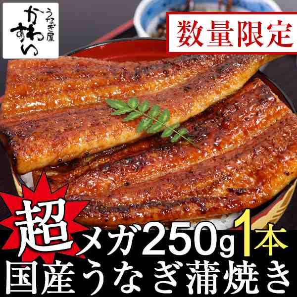 【50本限定 売り切れ次第終了】国産うなぎ蒲焼きメガサイズ250g×1本 蒲焼き ウナギ 鰻 グルメ 御歳暮 土用丑 お取り寄せ グルメ 冷凍 保存食 ギフト 誕生日 記念日 贈り物
