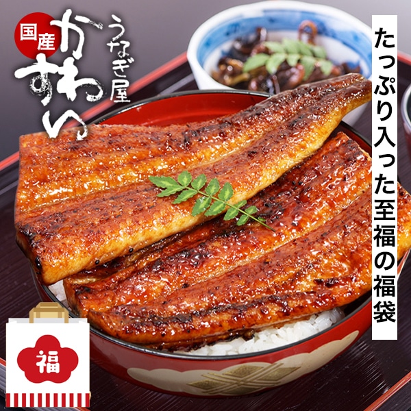 ＼2026 新春福袋／国産うなぎの福袋 長焼き 170g 3本 きざみうなぎ 3食 国産 うなぎ 鰻 ウナギ 蒲焼き 詰め合わせ 送料無料 たれ付き 山椒別売り 豪華 福袋 お得 超お得 超豪【13470円分入って9480円】