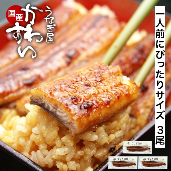 うなぎ 国産 鰻 蒲焼き 国産うなぎ 120g×3本 ウナギ 鰻 土用丑 お取り寄せ グルメ 冷凍 保存食 ギフト 誕生日 記念日 贈り物 母の日 父の日