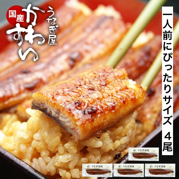 うなぎ 国産 鰻 蒲焼き 国産うなぎ 120g×4本 ウナギ 鰻 土用丑 お取り寄せ グルメ 冷凍 保存食 ギフト 誕生日 記念日 贈り物 母の日 父の日