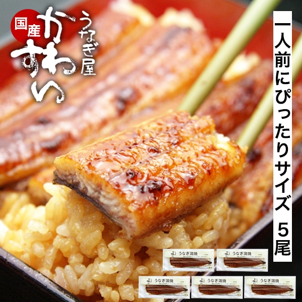 うなぎ 国産 鰻 蒲焼き 国産うなぎ 120g×5本 ウナギ 鰻 土用丑 お取り寄せ グルメ ギフト 冷凍 保存食 ギフト 誕生日 記念日 贈り物 母の日 父の日