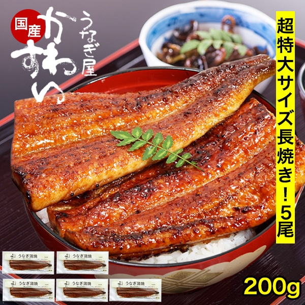 うなぎ 国産 鰻 蒲焼き 国産うなぎ 超特大サイズ 200g×5本 ウナギ 鰻 土用丑 お取り寄せ グルメ 冷凍 保存食 ギフト 誕生日 記念日 贈り物 母の日 父の日